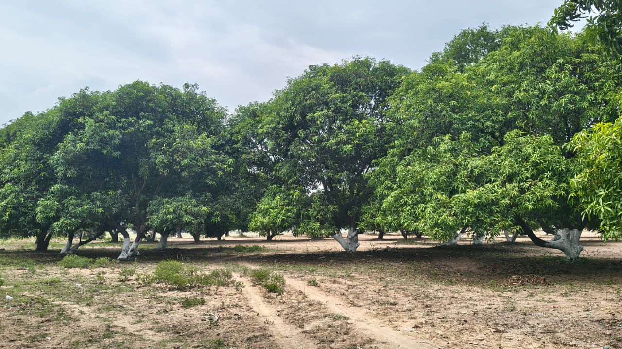 Farm Land