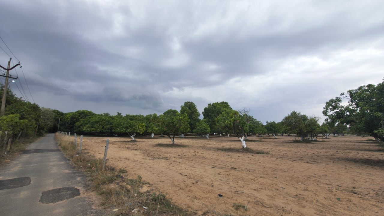 Farm Land image 2