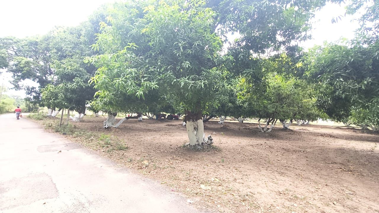 Farm Land image 3