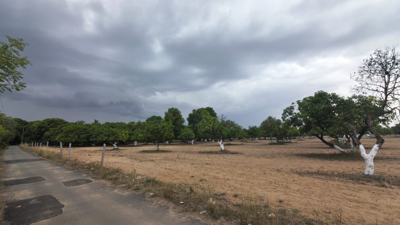 Farm Land image 4