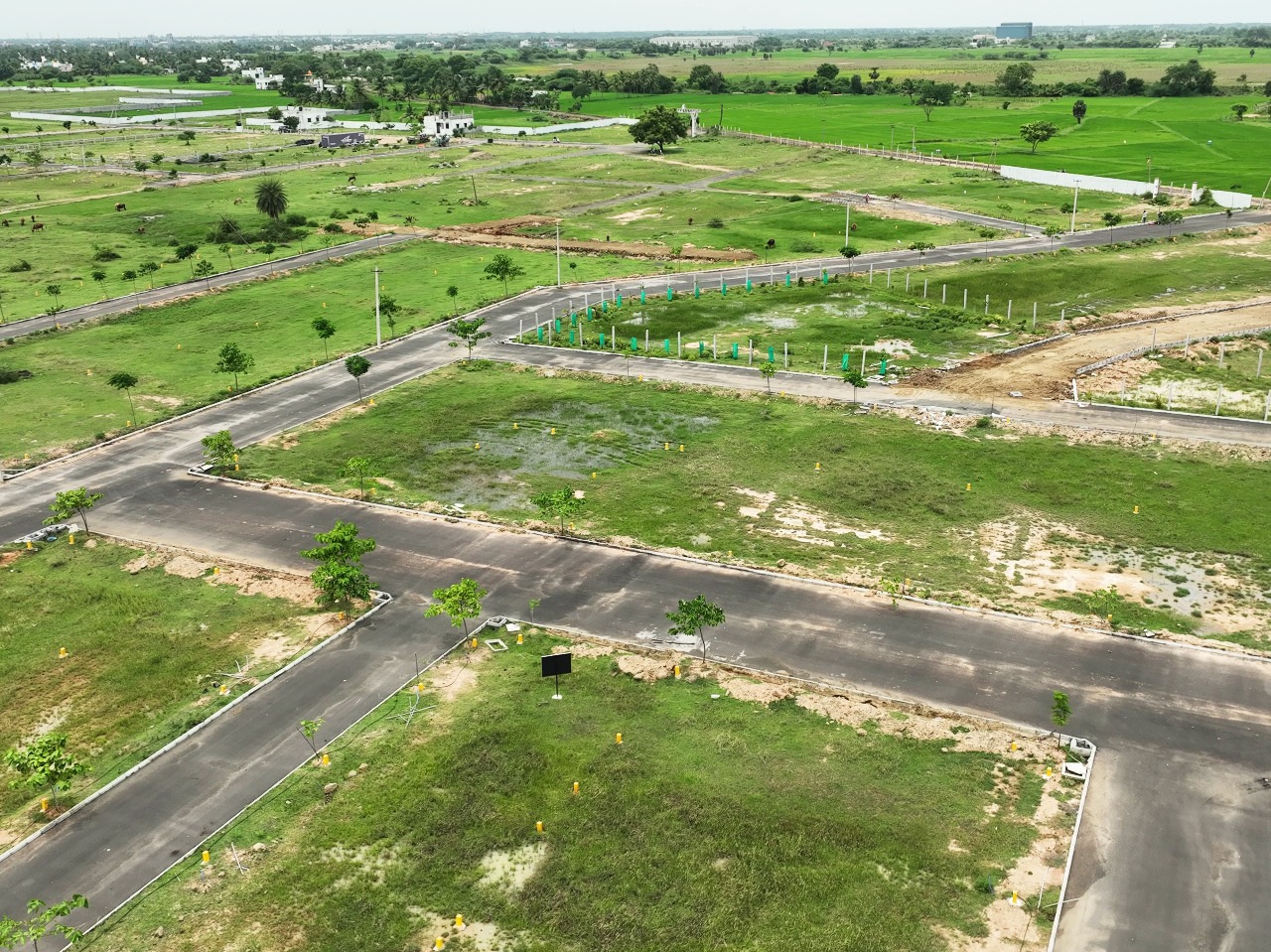 Brindhavan's OFFICER'S ENCLAVE image 5